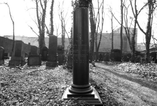 Cmentarz żydowski w Katowicach / Jewish cemetery in Katowice